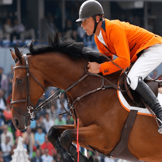 Paardensport_branche_socialblok_laundry_expert-