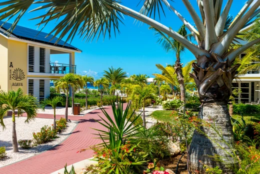 klant-laundry-expert-delfins-beach-resort