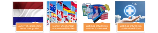 Vlaggen en wasmiddelflessen, tekst "Webshop Concept"
