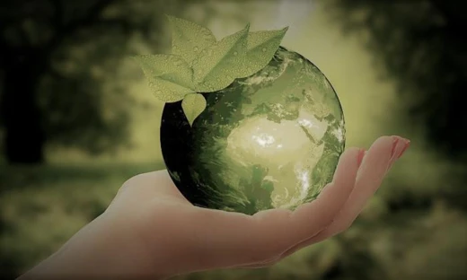 Hand houdt een glazen wereldbol met blaadjes vast, symbool voor circulaire economie